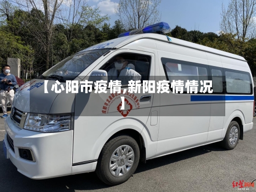 【心阳市疫情,新阳疫情情况】-第2张图片