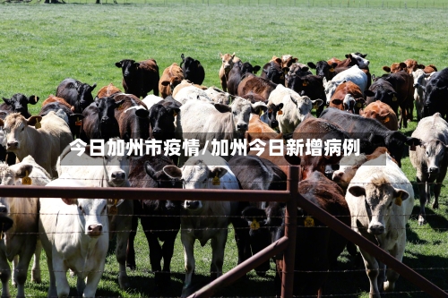 今日加州市疫情/加州今日新增病例-第2张图片