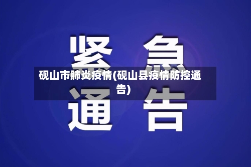 砚山市肺炎疫情(砚山县疫情防控通告)-第3张图片