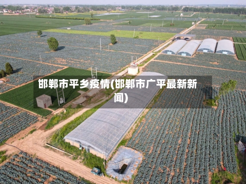 邯郸市平乡疫情(邯郸市广平最新新闻)-第1张图片