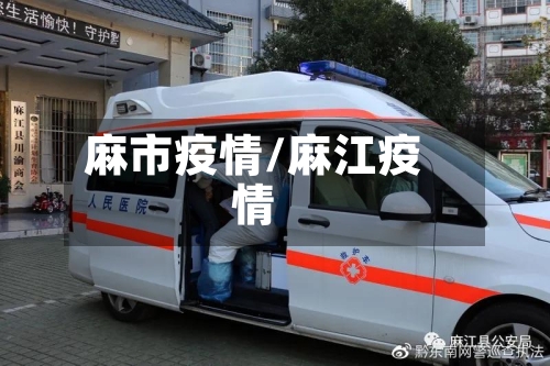 麻市疫情/麻江疫情-第2张图片