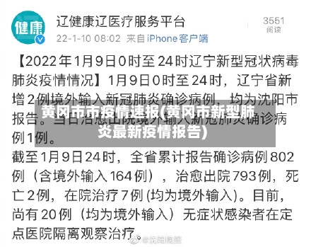 黄冈市市疫情速报(黄冈市新型肺炎最新疫情报告)-第1张图片
