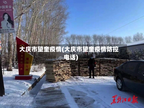 大庆市望奎疫情(大庆市望奎疫情防控电话)-第1张图片