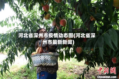河北省深州市疫情动态图(河北省深州市最新新闻)-第1张图片