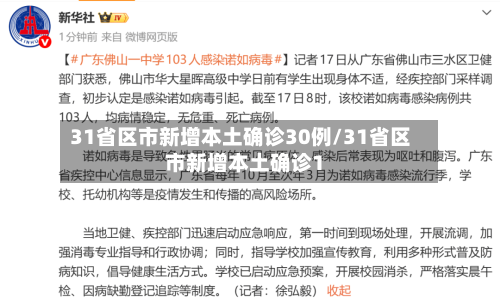 31省区市新增本土确诊30例/31省区市新增本土确诊1-第2张图片
