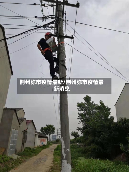 荆州弥市疫情最新/荆州弥市疫情最新消息-第1张图片