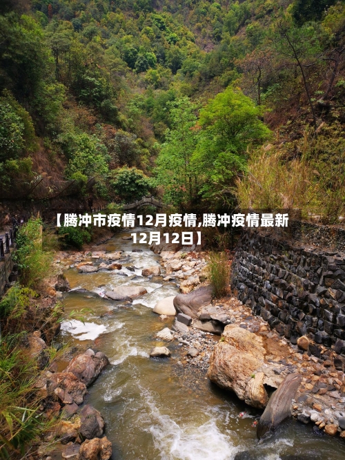 【腾冲市疫情12月疫情,腾冲疫情最新12月12日】-第1张图片