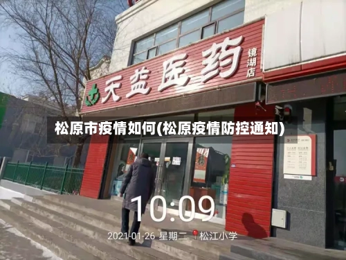 松原市疫情如何(松原疫情防控通知)-第3张图片