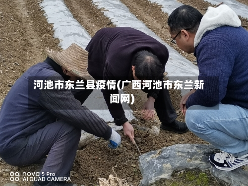河池市东兰县疫情(广西河池市东兰新闻网)-第1张图片