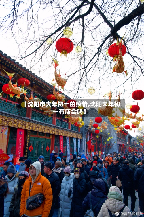 【沈阳市大年初一的疫情,沈阳大年初一有庙会吗】-第2张图片
