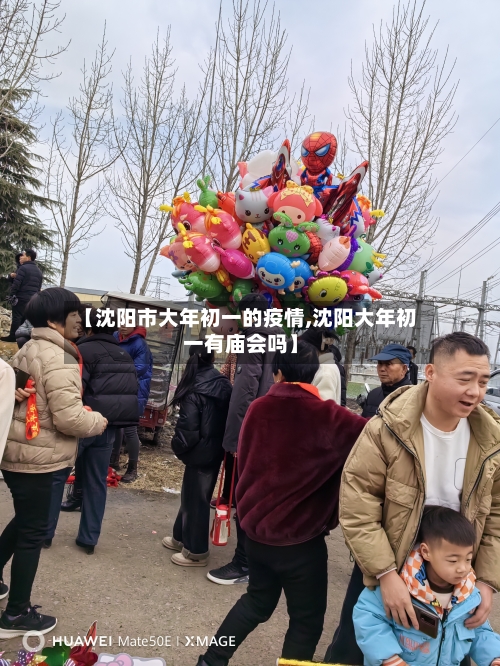 【沈阳市大年初一的疫情,沈阳大年初一有庙会吗】-第1张图片
