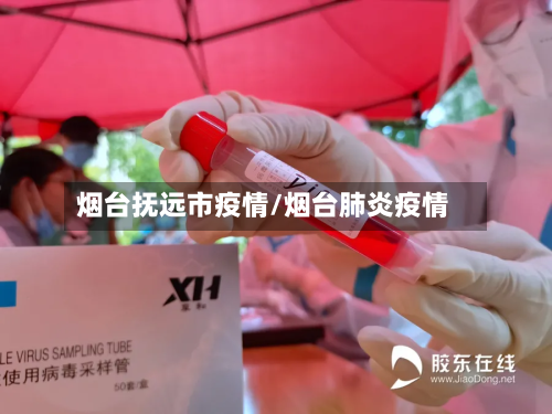 烟台抚远市疫情/烟台肺炎疫情-第1张图片