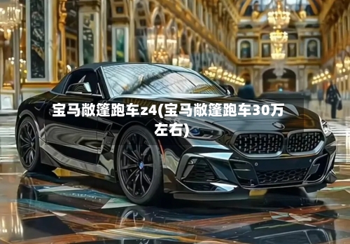 宝马敞篷跑车z4(宝马敞篷跑车30万左右)-第1张图片