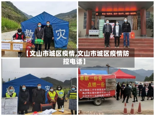 【文山市城区疫情,文山市城区疫情防控电话】-第2张图片