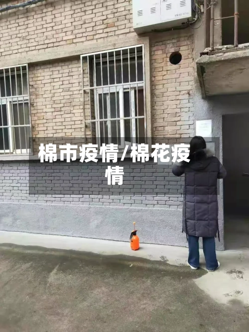 棉市疫情/棉花疫情-第2张图片