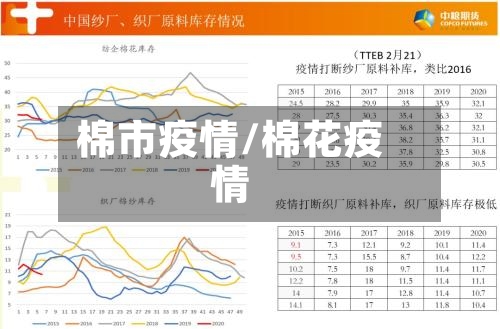 棉市疫情/棉花疫情-第1张图片