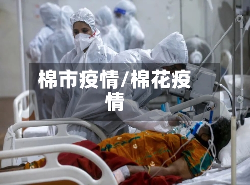 棉市疫情/棉花疫情-第3张图片