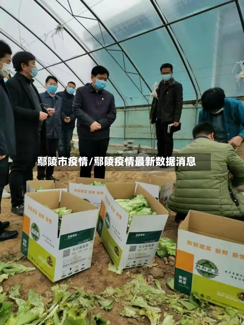 鄢陵市疫情/鄢陵疫情最新数据消息-第2张图片