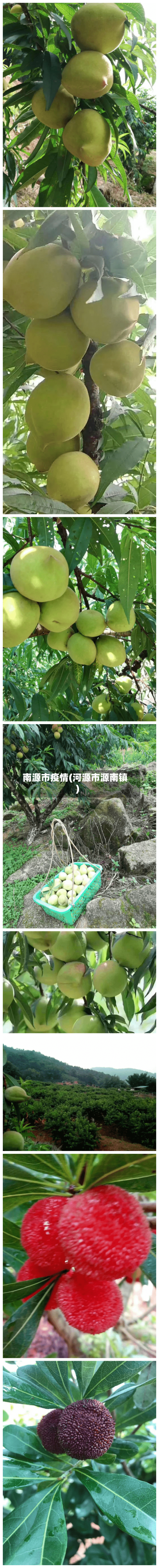 南源市疫情(河源市源南镇)-第1张图片