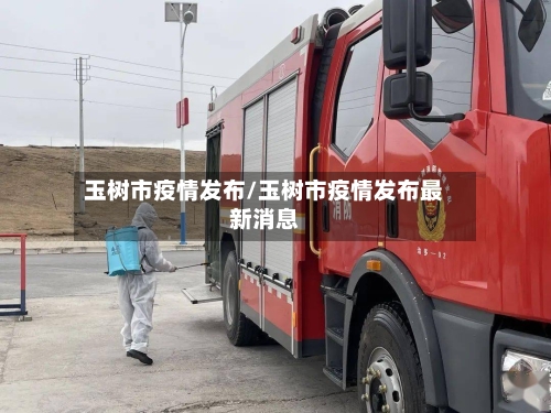 玉树市疫情发布/玉树市疫情发布最新消息-第2张图片