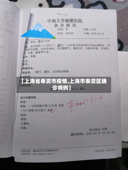 【上海省奉贤市疫情,上海市奉贤区确诊病例】-第3张图片