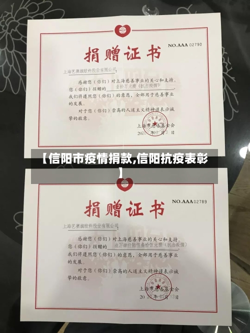 【信阳市疫情捐款,信阳抗疫表彰】-第2张图片