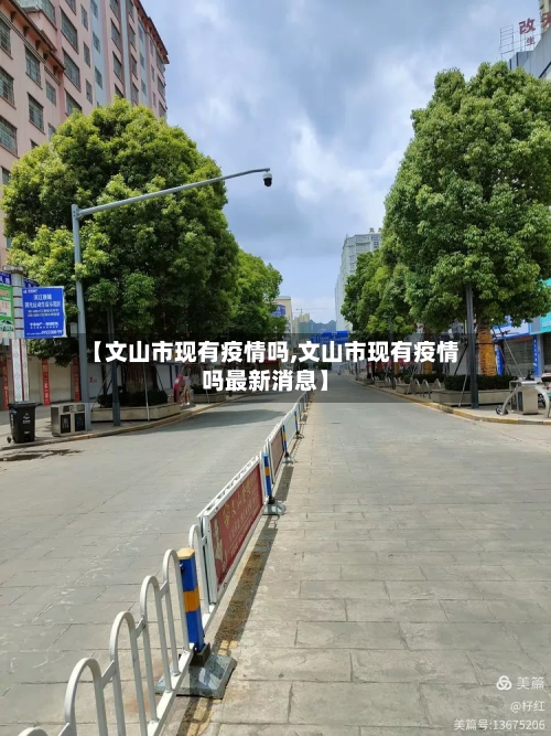【文山市现有疫情吗,文山市现有疫情吗最新消息】-第2张图片