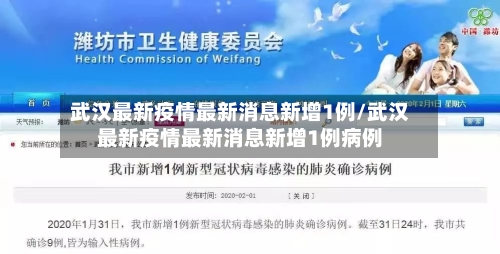 武汉最新疫情最新消息新增1例/武汉最新疫情最新消息新增1例病例-第3张图片