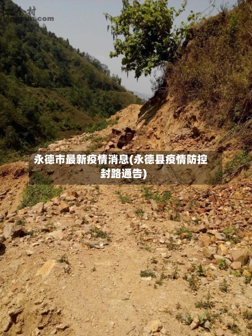 永德市最新疫情消息(永德县疫情防控封路通告)-第2张图片