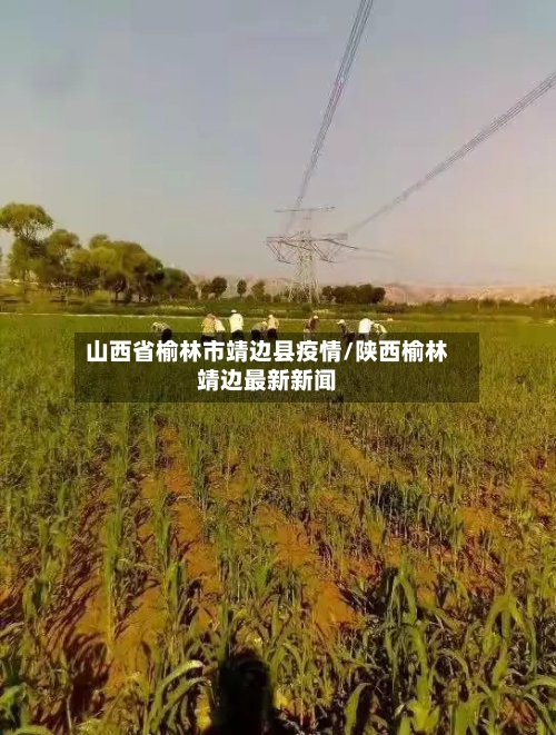 山西省榆林市靖边县疫情/陕西榆林靖边最新新闻-第3张图片