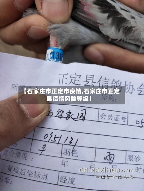 【石家庄市正定市疫情,石家庄市正定县疫情风险等级】-第3张图片