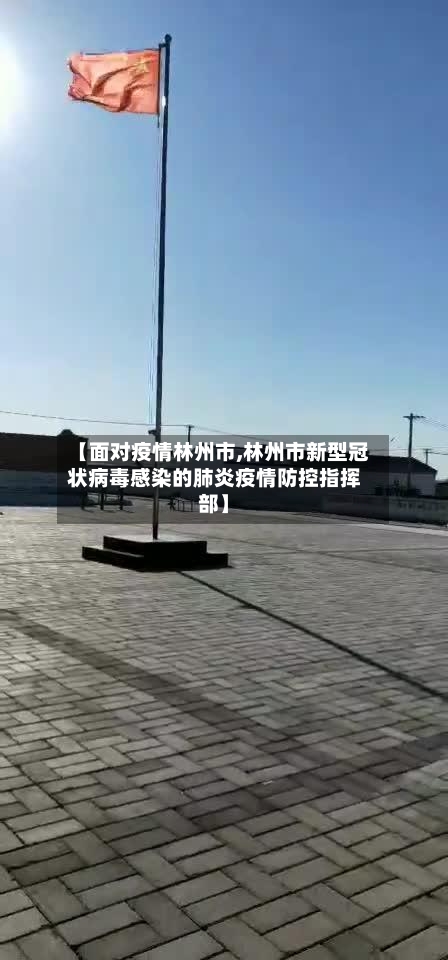 【面对疫情林州市,林州市新型冠状病毒感染的肺炎疫情防控指挥部】-第2张图片