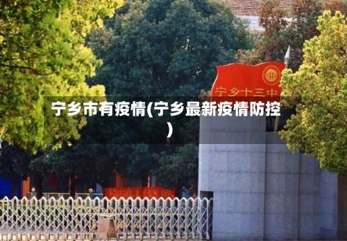 宁乡市有疫情(宁乡最新疫情防控)-第1张图片
