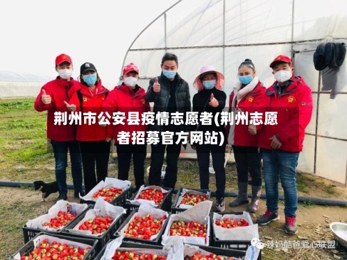 荆州市公安县疫情志愿者(荆州志愿者招募官方网站)-第2张图片