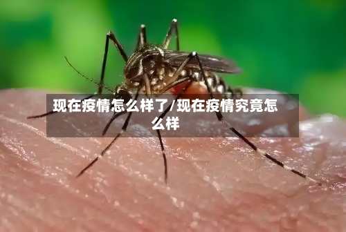 现在疫情怎么样了/现在疫情究竟怎么样-第2张图片