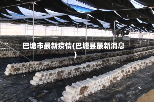 巴塘市最新疫情(巴塘县最新消息)-第1张图片