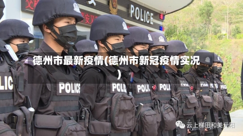 德州市最新疫情(德州市新冠疫情实况)-第2张图片