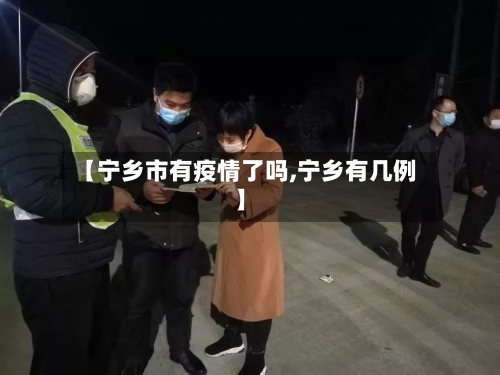 【宁乡市有疫情了吗,宁乡有几例】-第2张图片