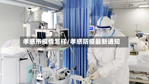 孝感市疫情怎样/孝感防疫最新通知-第3张图片