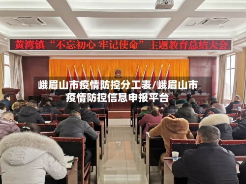 峨眉山市疫情防控分工表/峨眉山市疫情防控信息申报平台-第3张图片