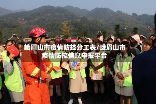 峨眉山市疫情防控分工表/峨眉山市疫情防控信息申报平台-第2张图片