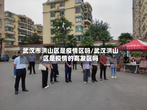 武汉市洪山区是疫情区吗/武汉洪山区是疫情的高发区吗-第1张图片