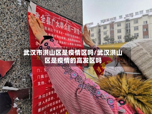 武汉市洪山区是疫情区吗/武汉洪山区是疫情的高发区吗-第2张图片