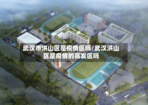 武汉市洪山区是疫情区吗/武汉洪山区是疫情的高发区吗-第3张图片