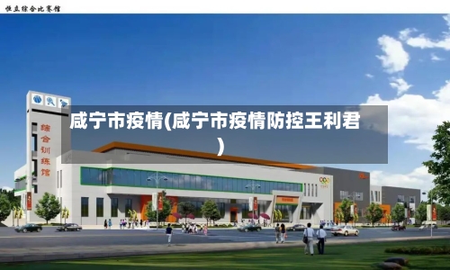 咸宁市疫情(咸宁市疫情防控王利君)-第2张图片