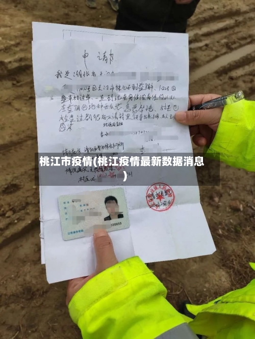 桃江市疫情(桃江疫情最新数据消息)-第2张图片