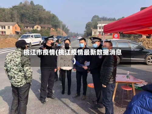 桃江市疫情(桃江疫情最新数据消息)-第1张图片