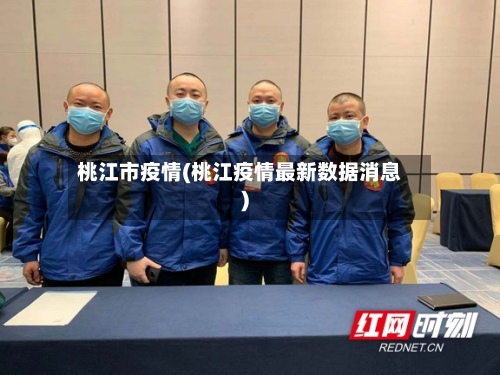 桃江市疫情(桃江疫情最新数据消息)-第3张图片