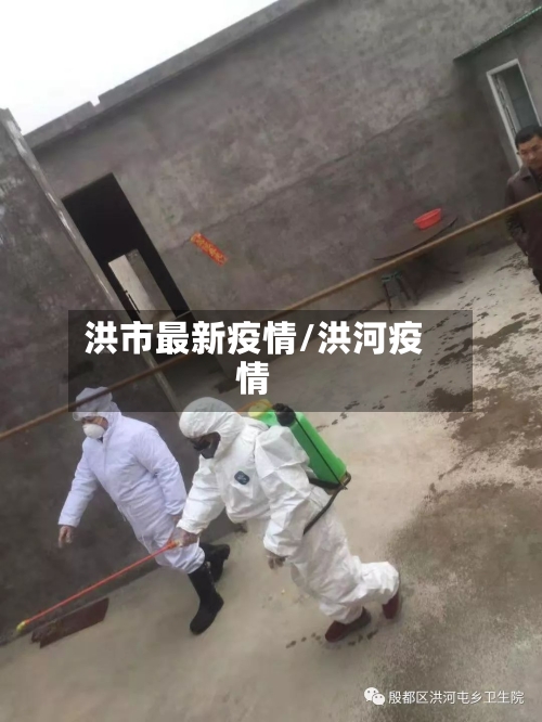 洪市最新疫情/洪河疫情-第3张图片