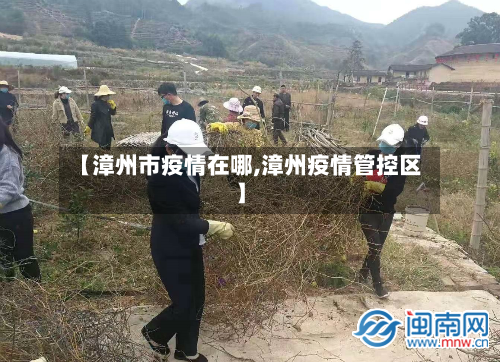 【漳州市疫情在哪,漳州疫情管控区】-第3张图片